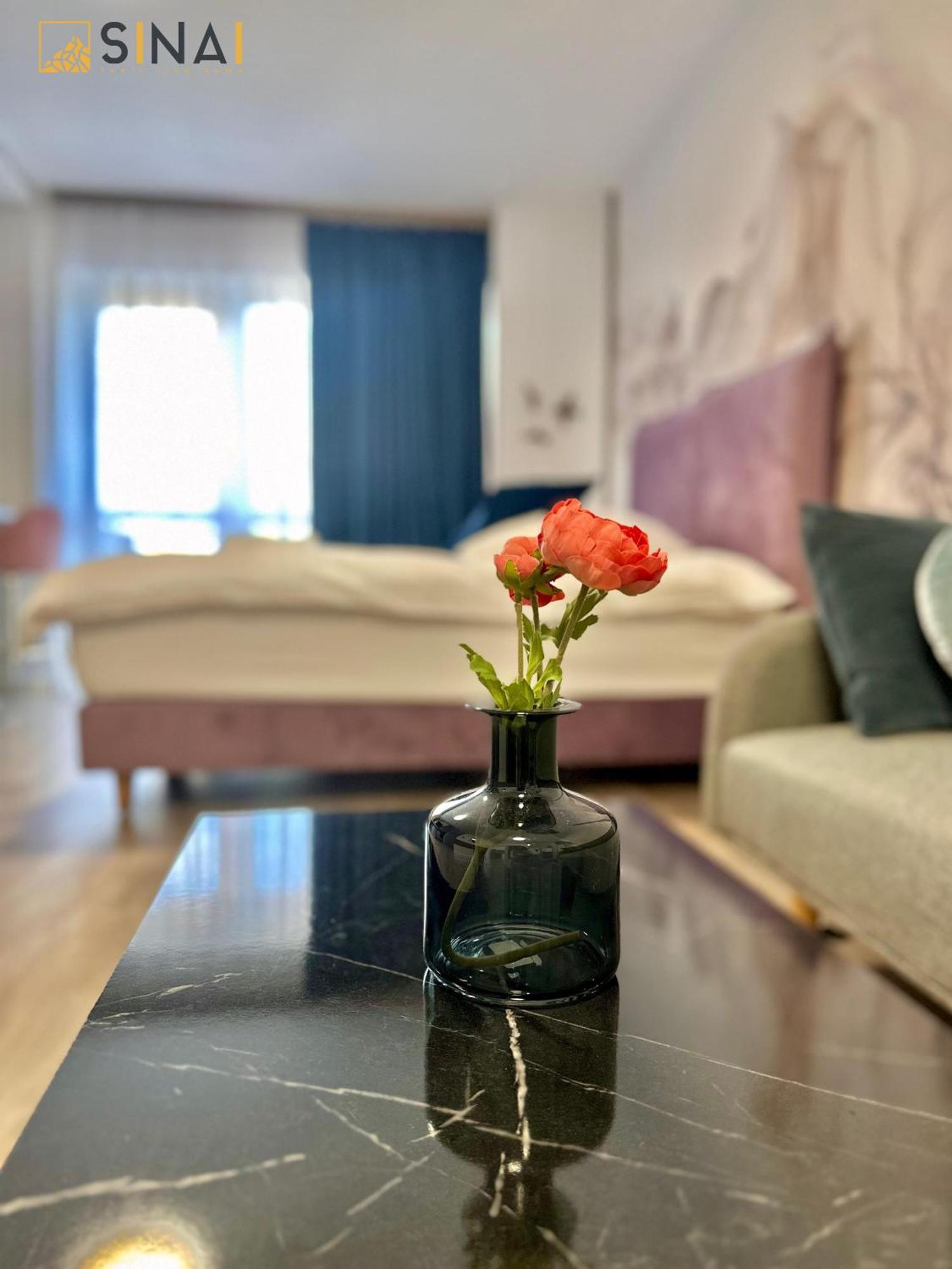 Sinai Aph Apartments Sinaia Eksteriør billede