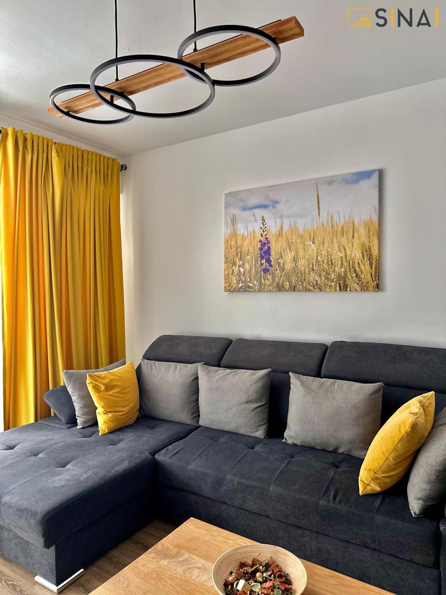 Sinai Aph Apartments Sinaia Eksteriør billede